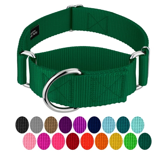 Country Brook Petz - HossFit Jr Wide Martingale Dog Collar (Green, Large)