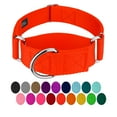 thumbnail image 1 of Country Brook Petz - HossFit Jr Wide Martingale Dog Collar (Hot Orange, Extra Large), 1 of 7