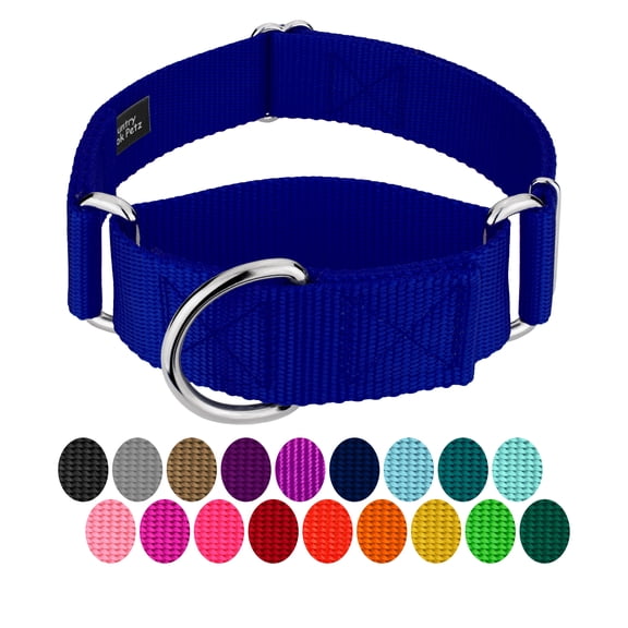 Country Brook Petz - HossFit Jr Wide Martingale Dog Collar (Royal Blue, Medium)