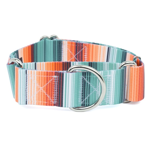 Country Brook Petz® HossFit Jr Wide Martingale Dog Collar (Sedona Stripes, Extra Large)