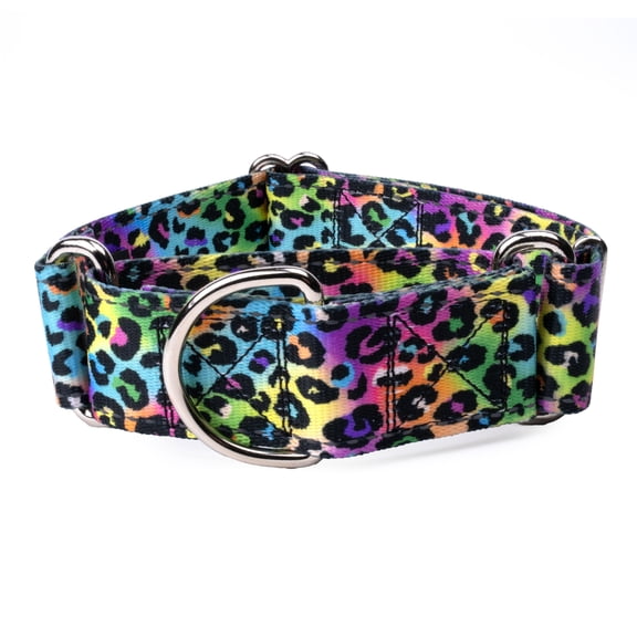 Country Brook Petz® HossFit Jr Wide Reflective Martingale Dog Collar, Electric Leopard, Medium
