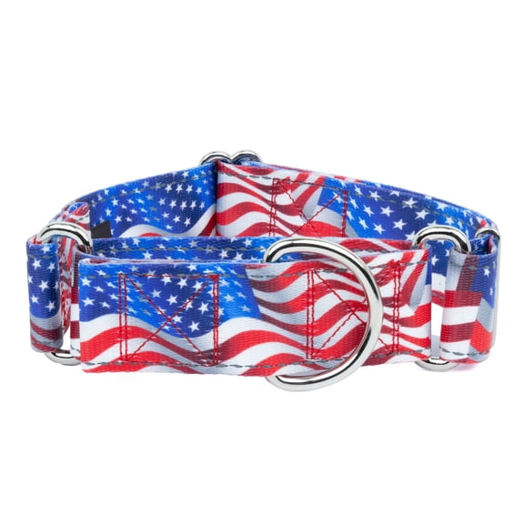 Country Brook Petz® HossFit Jr Wide Reflective Martingale Dog Collar (Flying Free, Extra Large)