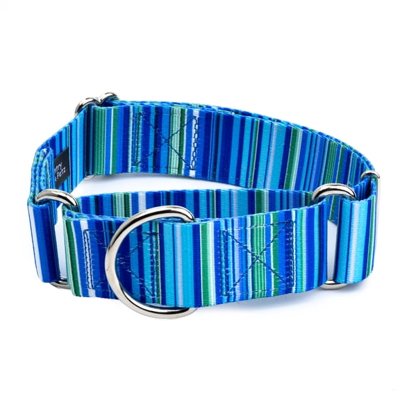 Country Brook Petz® HossFit Wide Martingale Dog Collar, Blue Serape, Extra Large