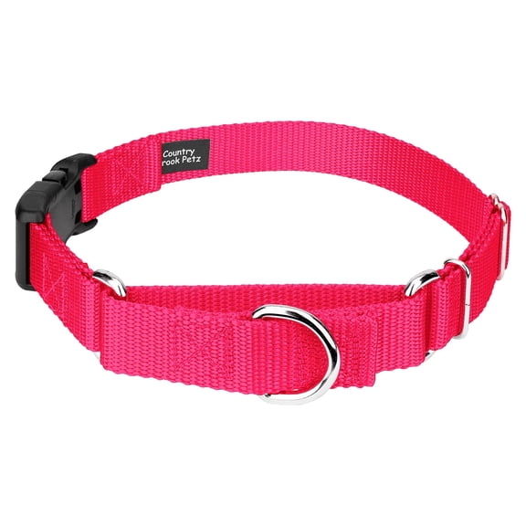 Country Brook Petz® Heavy Duty Nylon Martingale Dog Collar with Plastic Buckle for Adjustable Small Medium Large Breeds - 30+ Vibrant Color Options (1 Inch, Medium, Hot Pink)