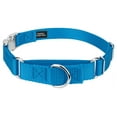 thumbnail image 1 of Country Brook Petz® Ice Blue Heavyduty Nylon Martingale with Premium Buckle, Small, 1 of 6