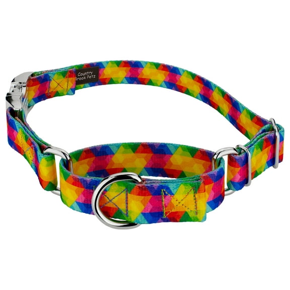 Country Brook Petz® Kaleidoscope Martingale Dog Collar with Premium Buckle, Extra Large