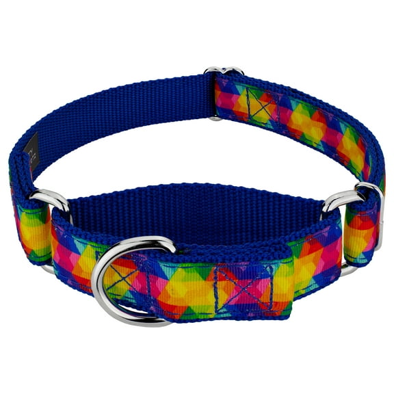 Country Brook Petz® Kaleidoscope Ribbon Martingale Dog Collar, Small