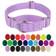 thumbnail image 1 of Country Brook Petz® Martingale Dog Collar - Training Collar with No Buckle (Lavender, 3XS), 1 of 5
