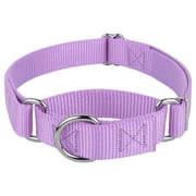 Country Brook Petz® Lavender Martingale Heavyduty Nylon Dog Collar, Small