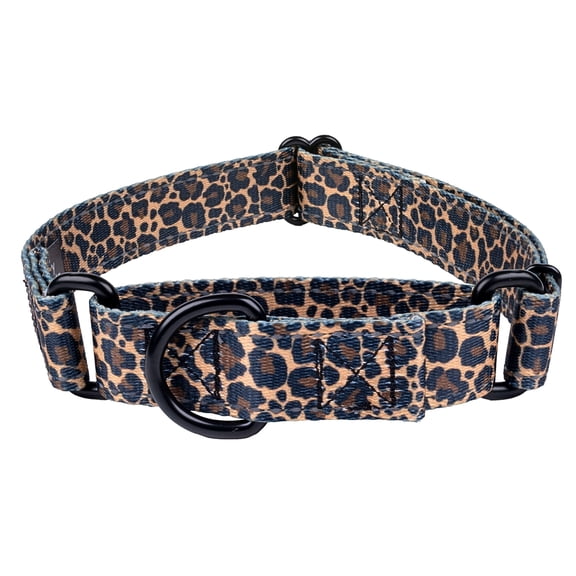 Country Brook Petz® Leopard Print Reflective Martingale Dog Collar, Medium