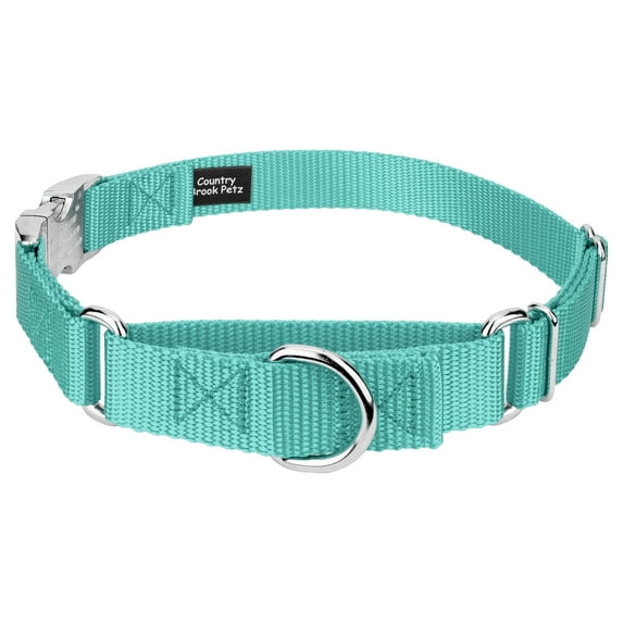 Country Brook Petz® Light Cyan Heavyduty Nylon Martingale with Premium Buckle, Medium