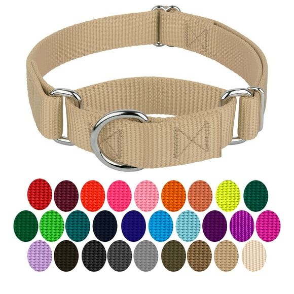 Country Brook Petz® Martingale Dog Collar - Training Collar with No Buckle (Copper Gold, Small)