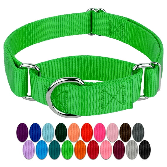Country Brook Petz® Martingale Dog Collar - Training Collar with No Buckle (Hot Green, Medium)