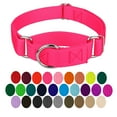 thumbnail image 1 of Country Brook Petz® Martingale Dog Collar - Training Collar with No Buckle (Hot Pink, Medium), 1 of 6