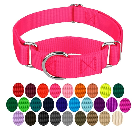 Country Brook PetzĀ® Martingale Dog Collar - Training Collar with No Buckle (Hot Pink, Medium)