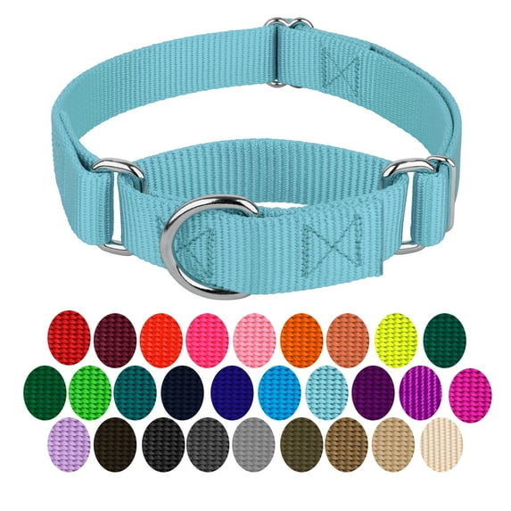 Country Brook Petz® Martingale Dog Collar - Training Collar with No Buckle (Ocean Blue, Large)