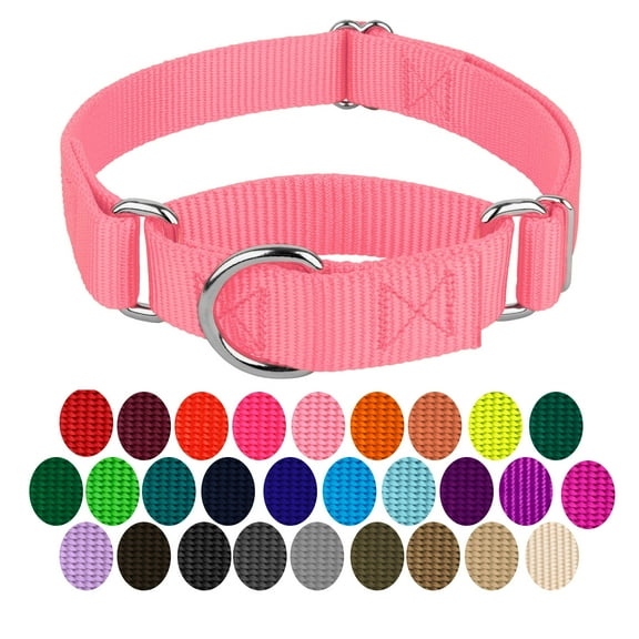 Country Brook Petz® Martingale Dog Collar - Training Collar with No Buckle (Pink, Small)