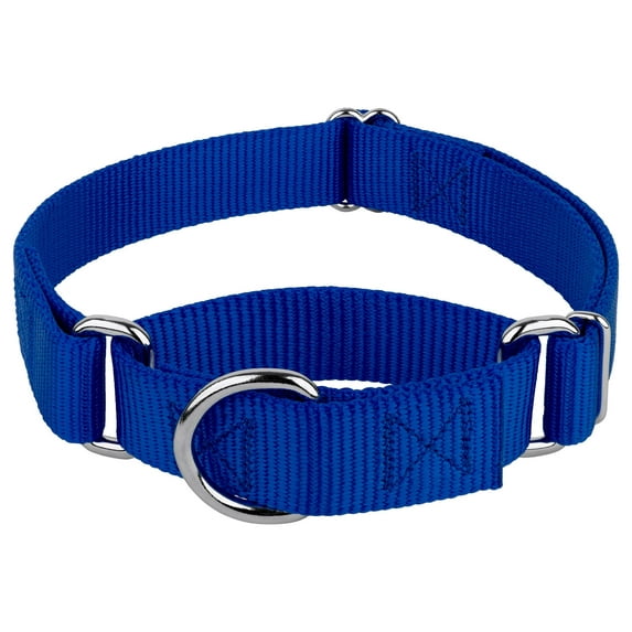 Country Brook Petz® Martingale Dog Collar - Training Collar with No Buckle (Royal Blue, Large)