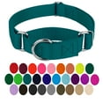 thumbnail image 1 of Country Brook Petz® Martingale Dog Collar - Training Collar with No Buckle (Teal, Large), 1 of 5