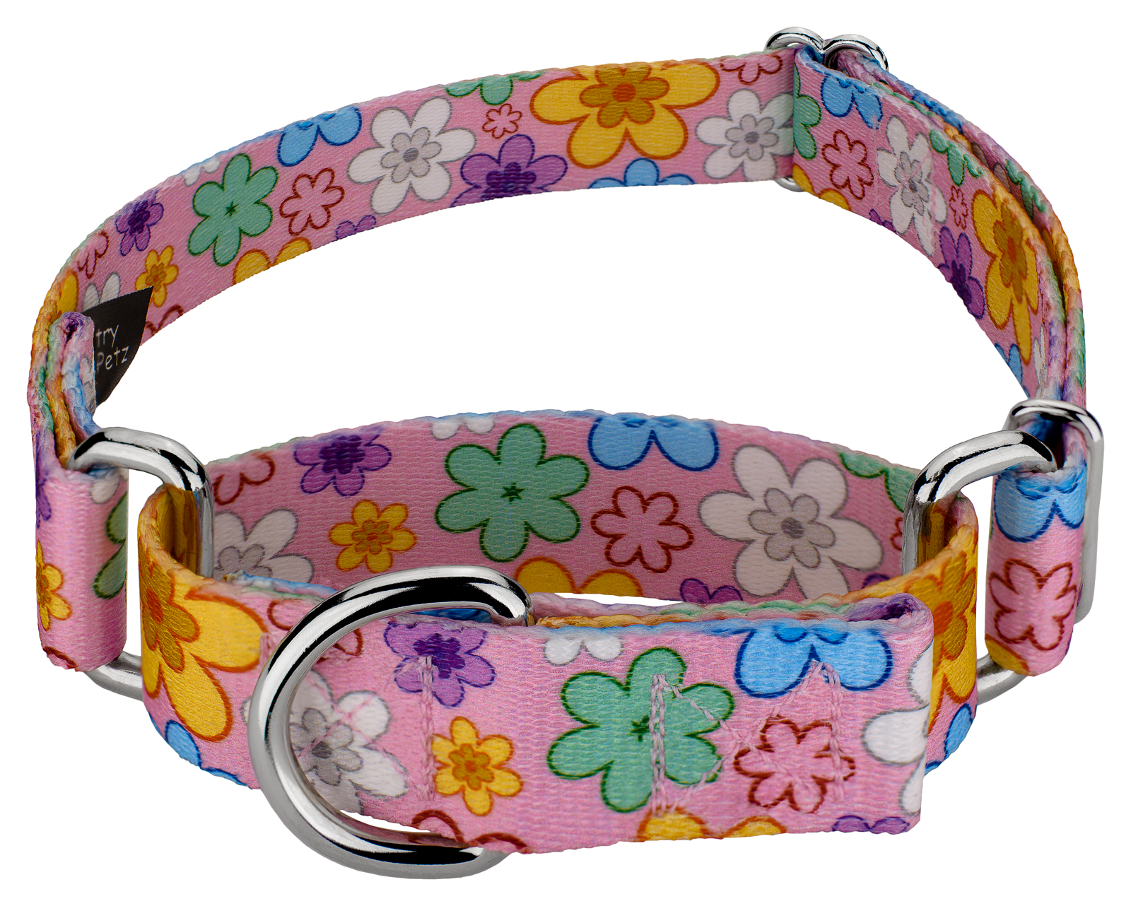 Country Brook Petz® May Flowers Martingale Dog Collar, Large - image 1 of 7