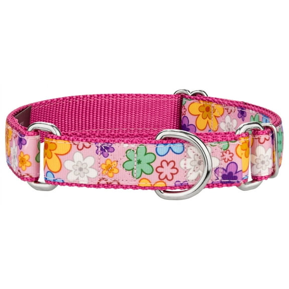 Country Brook Petz® May Flowers Ribbon Martingale Dog Collar, Small