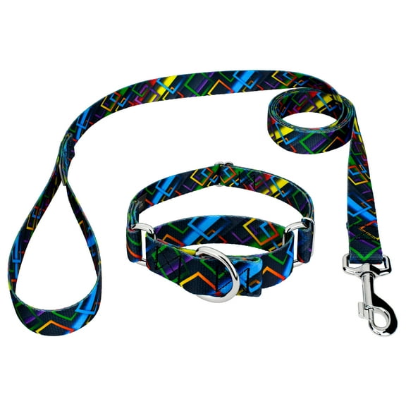 Country Brook Petz® Memphis 90s Martingale Dog Collar and Leash, Large