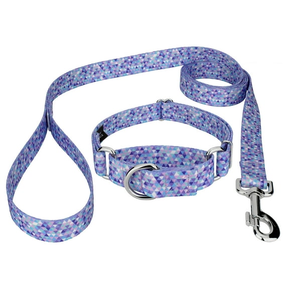 Country Brook Petz® Mermaid Mosaic Martingale Dog Collar and Leash, Small