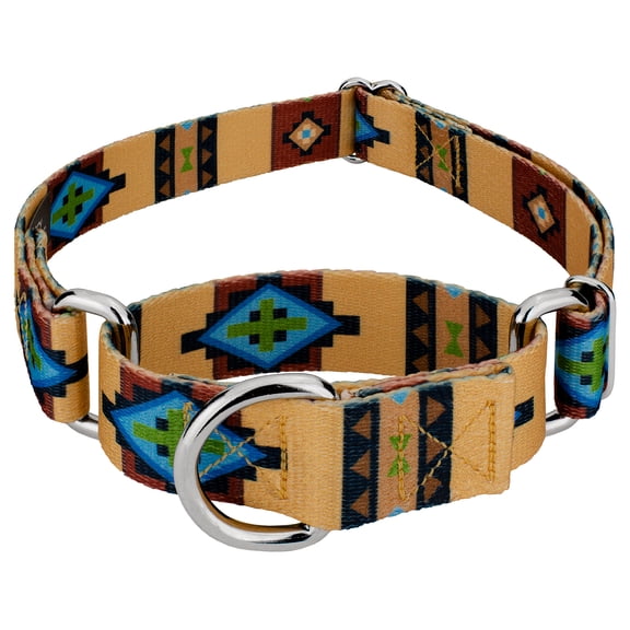 Country Brook Petz® Native Arizona Martingale Dog Collar, Large