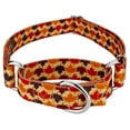 thumbnail image 1 of Country Brook Petz® Nature Walk Martingale Dog Collar Limited Edition, Extra Small, 1 of 5