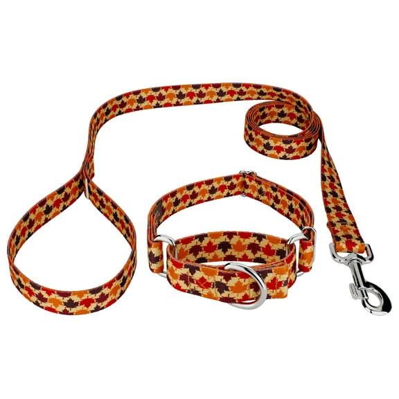 Country Brook Petz® Nature Walk Martingale Dog Collar and Leash, Large