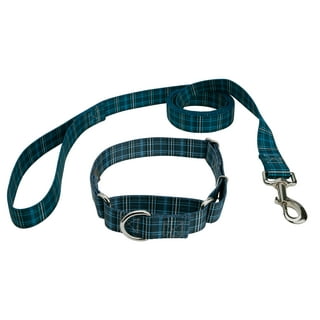 Us navy store dog collar