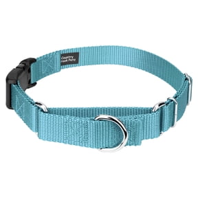 Country Brook Petz® Heavy Duty Nylon Martingale Dog Collar with Plastic Buckle for Adjustable Small Medium Large Breeds - 30+ Vibrant Color Options (1 Inch, Medium, Ocean Blue)