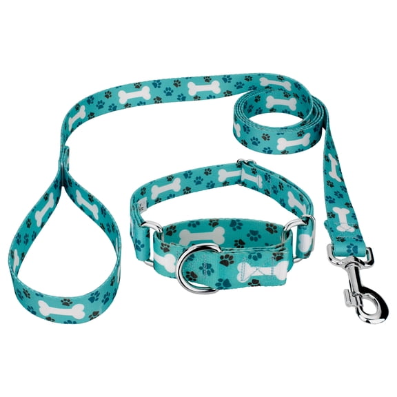 Country Brook Petz® Oh My Dog Martingale Dog Collar and Leash, Small
