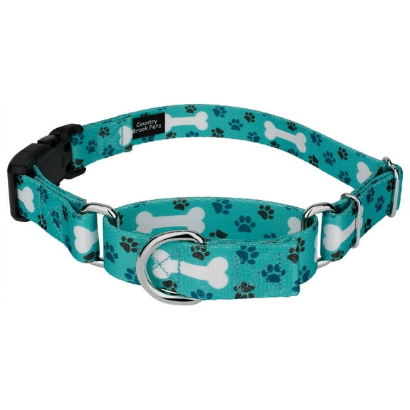 Country Brook Petz­® Oh My Dog Martingale with Deluxe Buckle, Medium