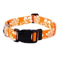 thumbnail image 1 of Country Brook Petz® Orange Hawaiian Everyday Dog Collar, Extra Small, 1 of 7