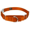 thumbnail image 1 of Country Brook Petz® Orange Heavyduty Nylon Martingale with Premium Buckle, Extra Large, 1 of 6