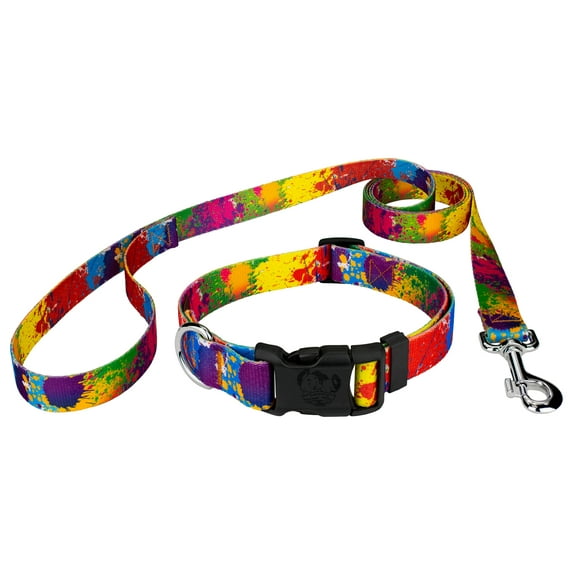 Country Brook Petz® Paint Splatter Everyday Dog Collar and Leash, Large