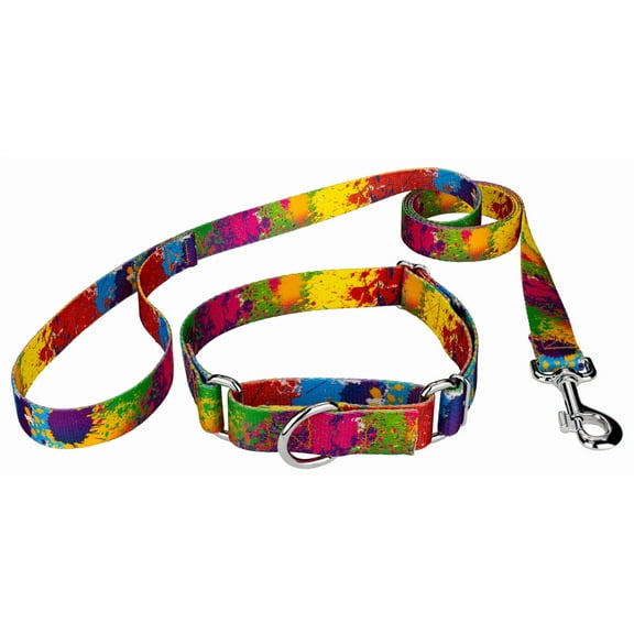Country Brook Petz® Paint Splatter Martingale Dog Collar and Leash, 2XS