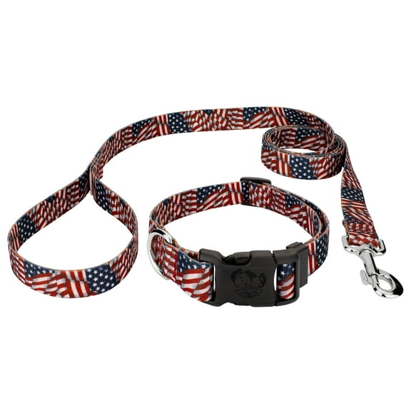 Country Brook Petz® Patriotic Tribute Everyday Dog Collar and Leash, Large
