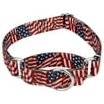 thumbnail image 1 of Country Brook Petz® Patriotic Tribute Martingale Dog Collar, Large, 1 of 7