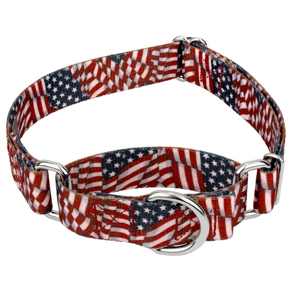 Country Brook Petz® Patriotic Tribute Martingale Dog Collar, Medium