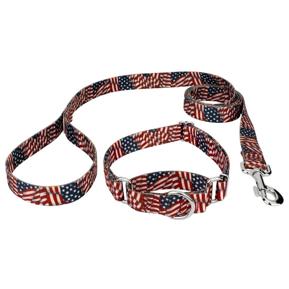 Country Brook Petz® Patriotic Tribute Martingale Dog Collar and Leash, 2XS