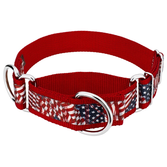Country Brook Petz® Patriotic Tribute Signature Martingale Dog Collar, 1 1/2 inch, Medium