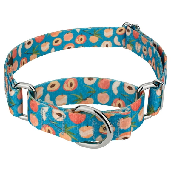 Country Brook Petz® Peaches Martingale Dog Collar Limited Edition, Extra Large