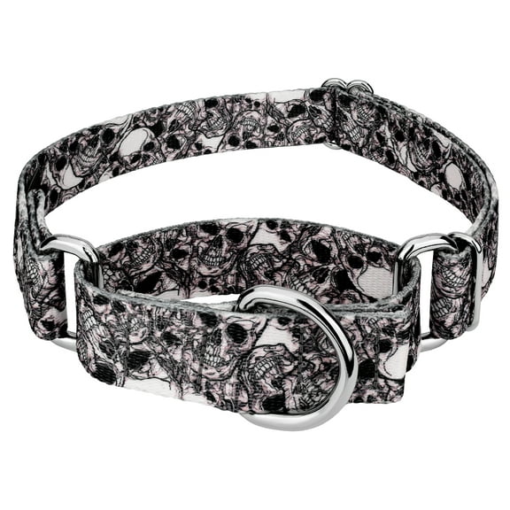 Country Brook Petz® Phantom Skulls Martingale Dog Collar, Extra Small