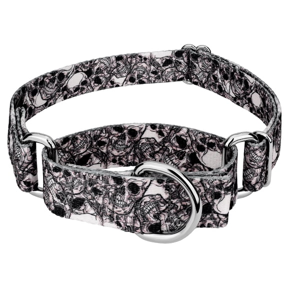 Country Brook Petz® Phantom Skulls Martingale Dog Collar, Large