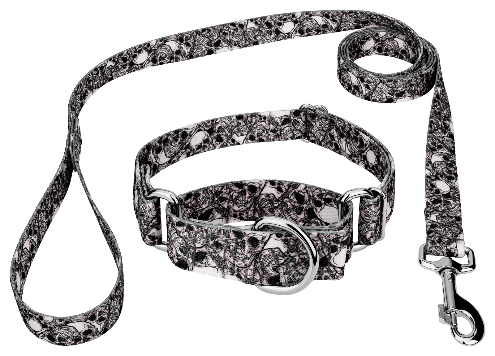 Country Brook Petz® Phantom Skulls Martingale Dog Collar and Leash, Medium