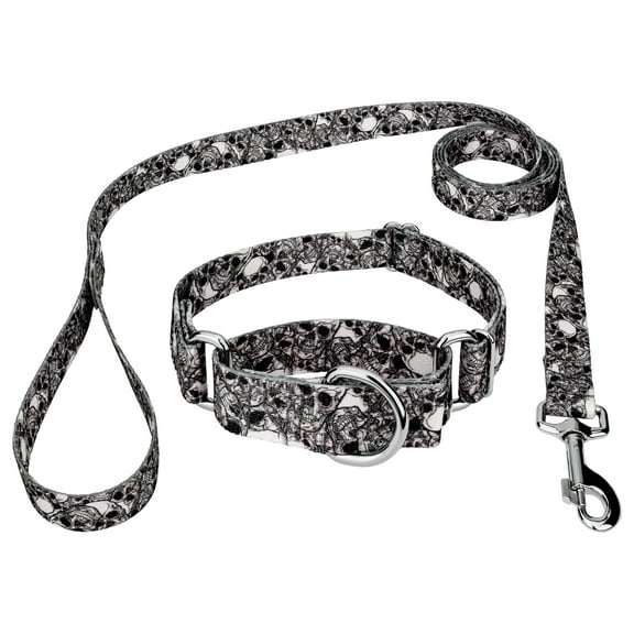 Country Brook PetzĀ® Phantom Skulls Martingale Dog Collar and Leash, Medium