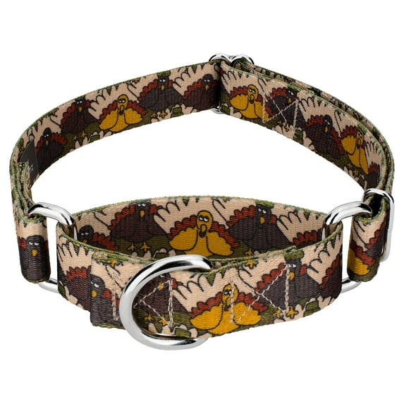 Country Brook Petz® Pilgrim Turkey Martingale Dog Collar Limited Edition , 2XS