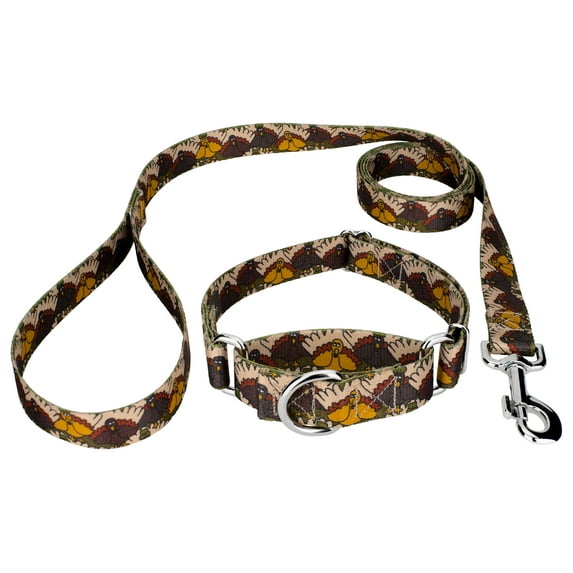 Country Brook Petz® Pilgrim Turkey Martingale Dog Collar and Leash Limited Edition, Extra Small